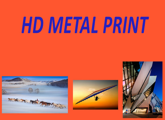 HD Metal Print