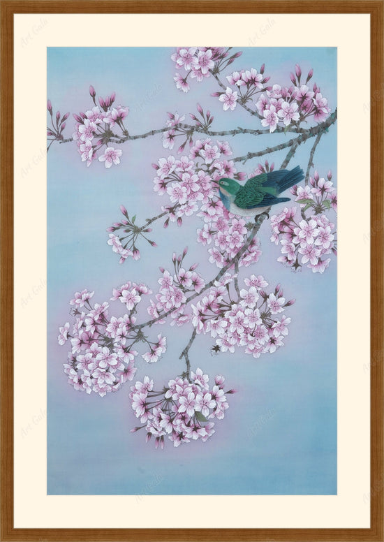 Cherry Blossoms-Spring Equinox-The 24 Solar Terms Series 春分 / Or