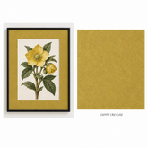 KS0957 Old Gold matboard: framed artwork and colour swatch