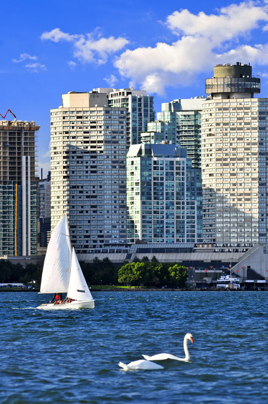 Sailboat Sailing in Toronto Harbour