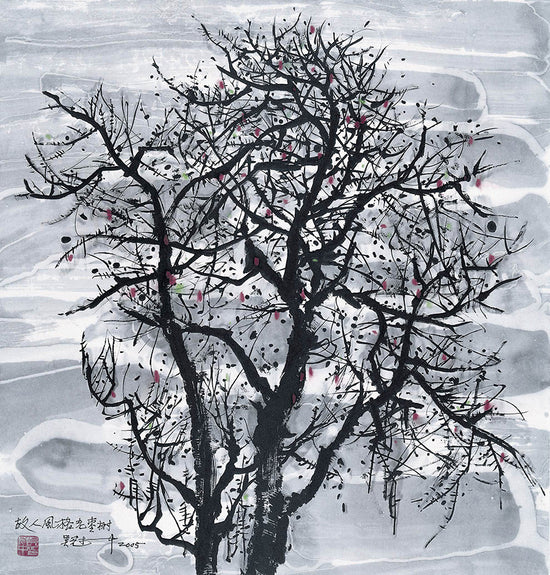 Jujube Tree