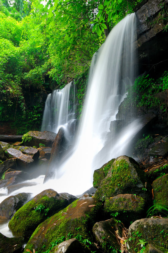 Waterfall in Jungle