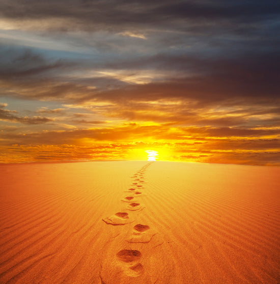 Sandy Desert Footprints