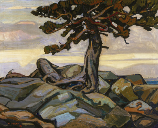 Pine Tree And Rocks, 1921