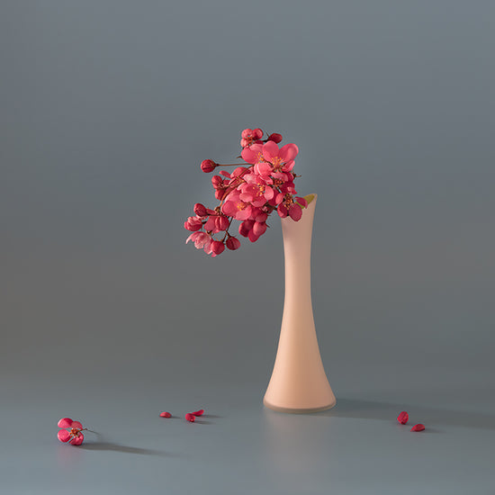 Pink Cherry in Vase