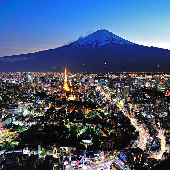 Tokyo City and Mount Fuji