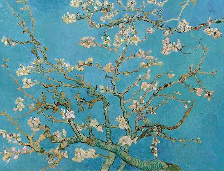 Vincent Van Gogh