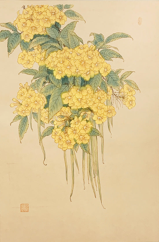 Yellow Bell Flower 黄钟花