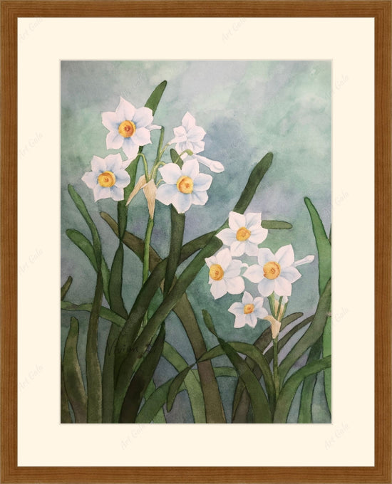 Daffodil / Watercolor on Paper?osCsid=48u5uaa3ondqa2puqf4pu2c1sm
