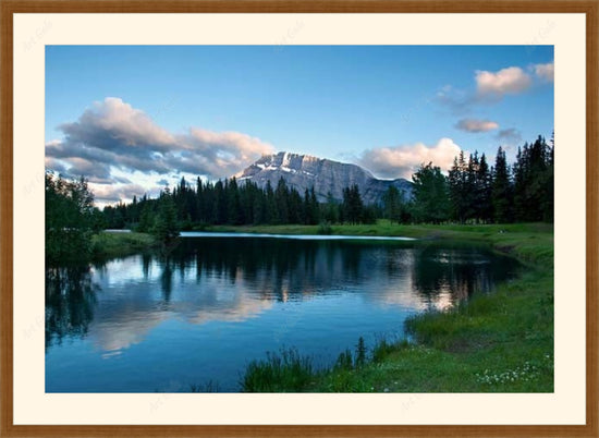 Beaty of Alberta