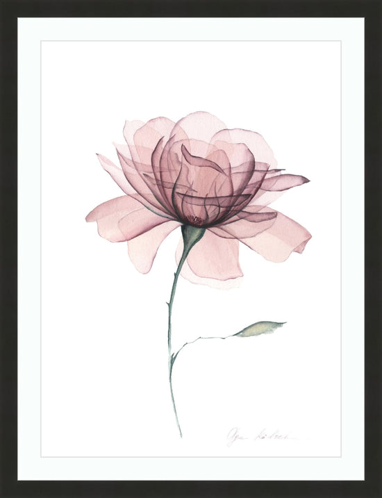 Framed print with mat & glazing