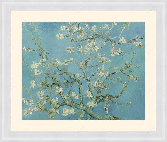 Blossom