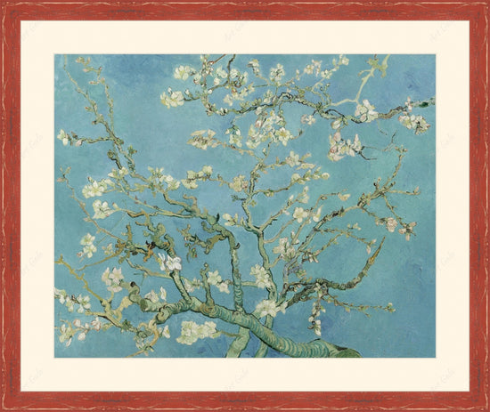 Blossom