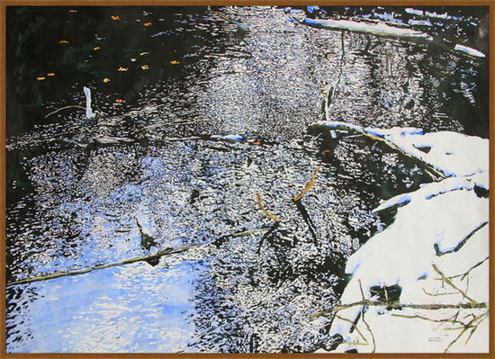 Open Cedar Stream 21 Eramosa River (Framed) / Acrylic on Canvas?