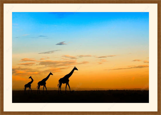 Africa 1