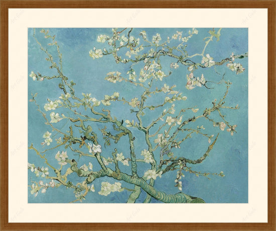 Blossom