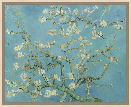 Blossom