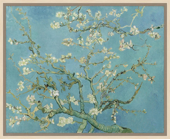 Blossom