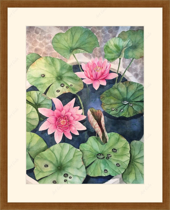 Water Lily / Watercolor on Paper?osCsid=l5mjq6pgr7bgemsr8qv55u0i