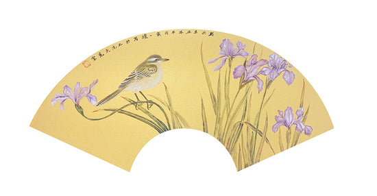 紫色鸢尾花小鸟  Purple Iris with Bird